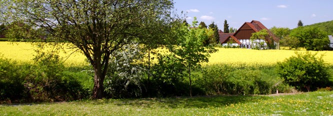 OV 03